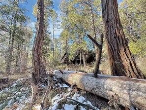 Miscellaneous - Best Place to Stay in Idyllwild (Idyllwild-Pine Cove)
