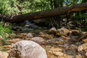 Miscellaneous - Relaxing Studio in Idyllwild (Idyllwild-Pine Cove)