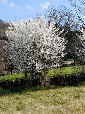 Property grounds - Quercy House: Private Terrace, Garden & Balcony in the Célé Valley (Corn)