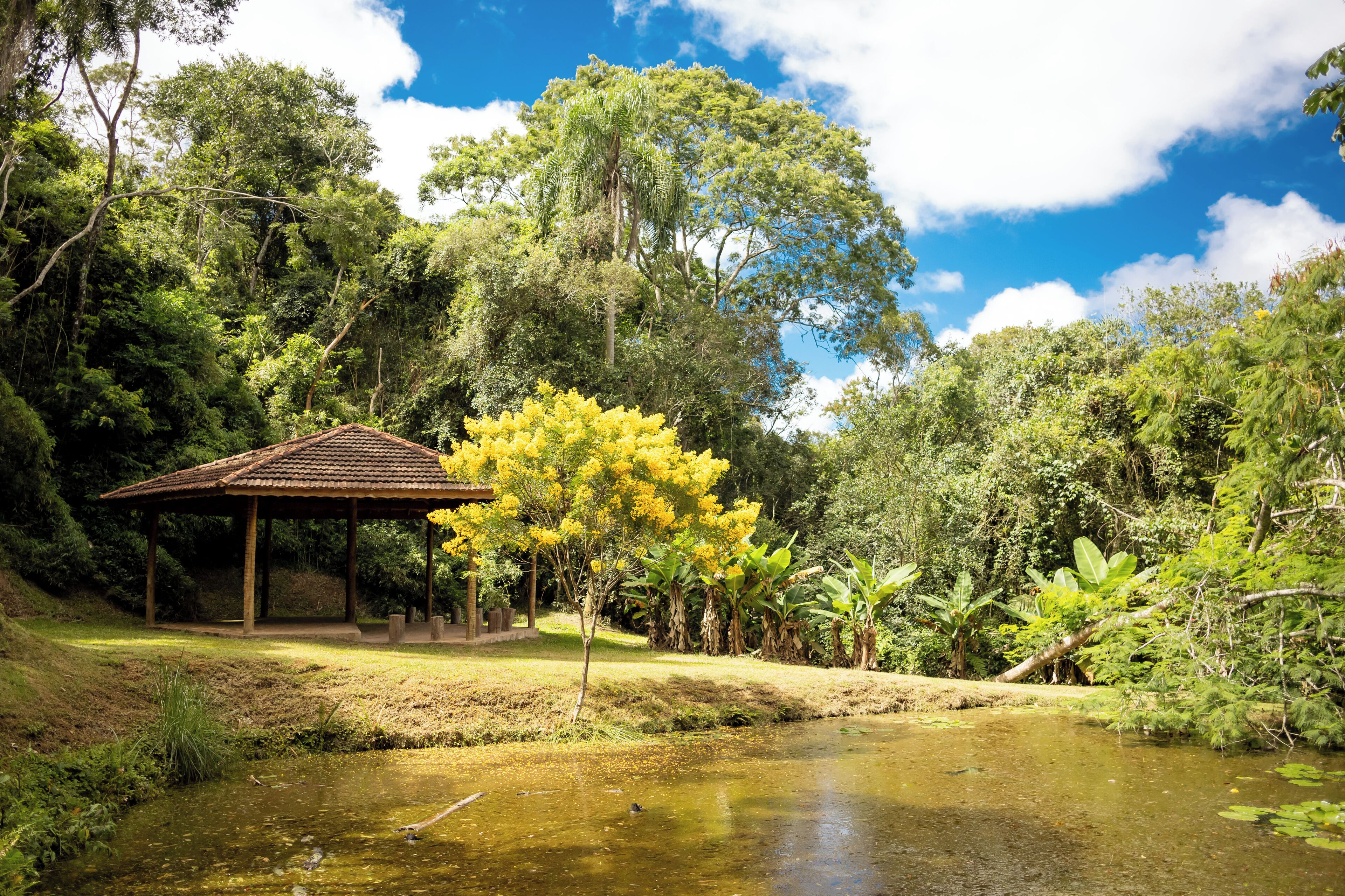 A pavilion with a tiled roof, surrounded by lush greenery and a pond.