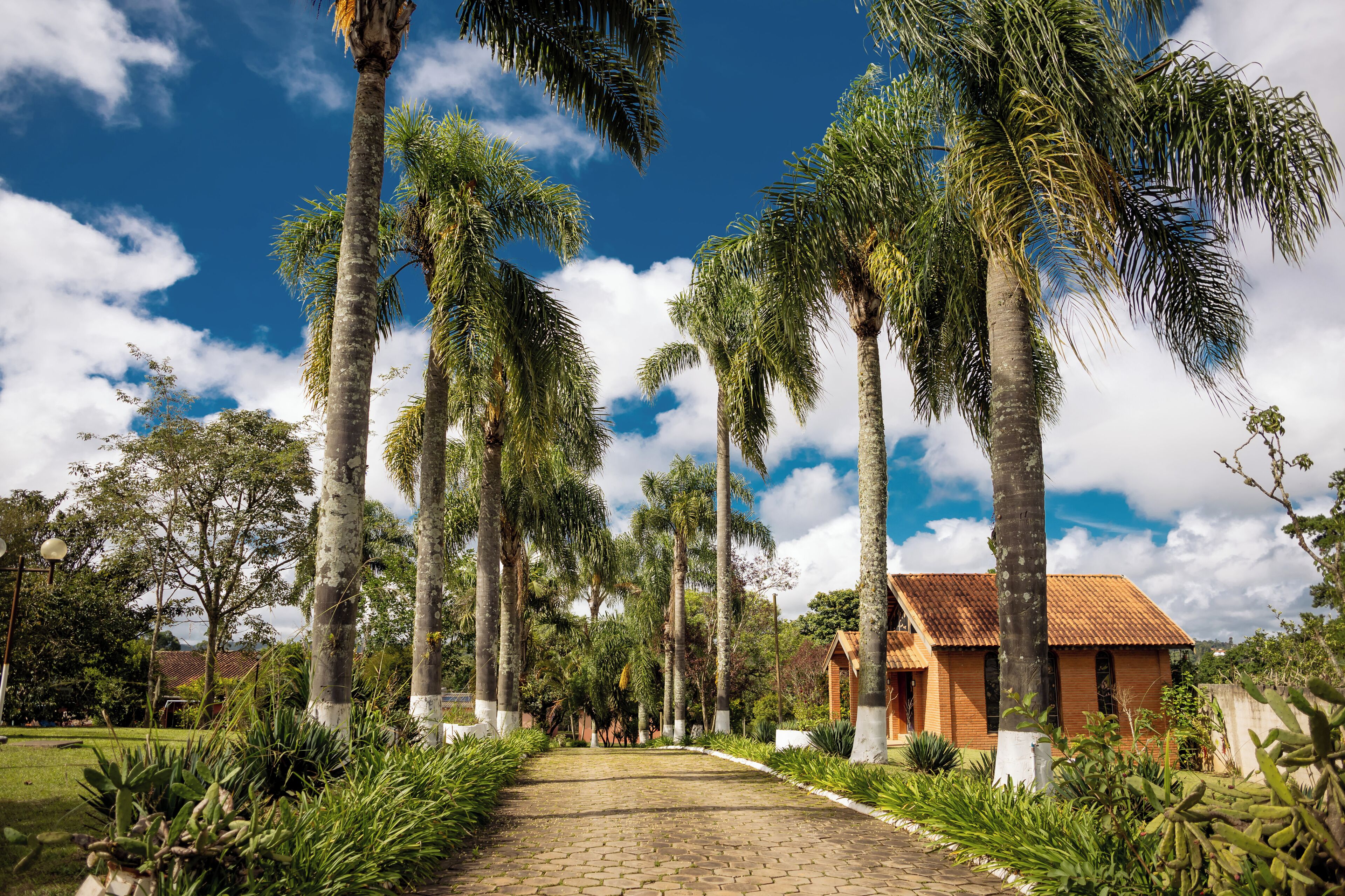 Àrea exterior de l'allotjament