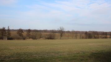 A wide-open field with a few trees and distant wind turbines.