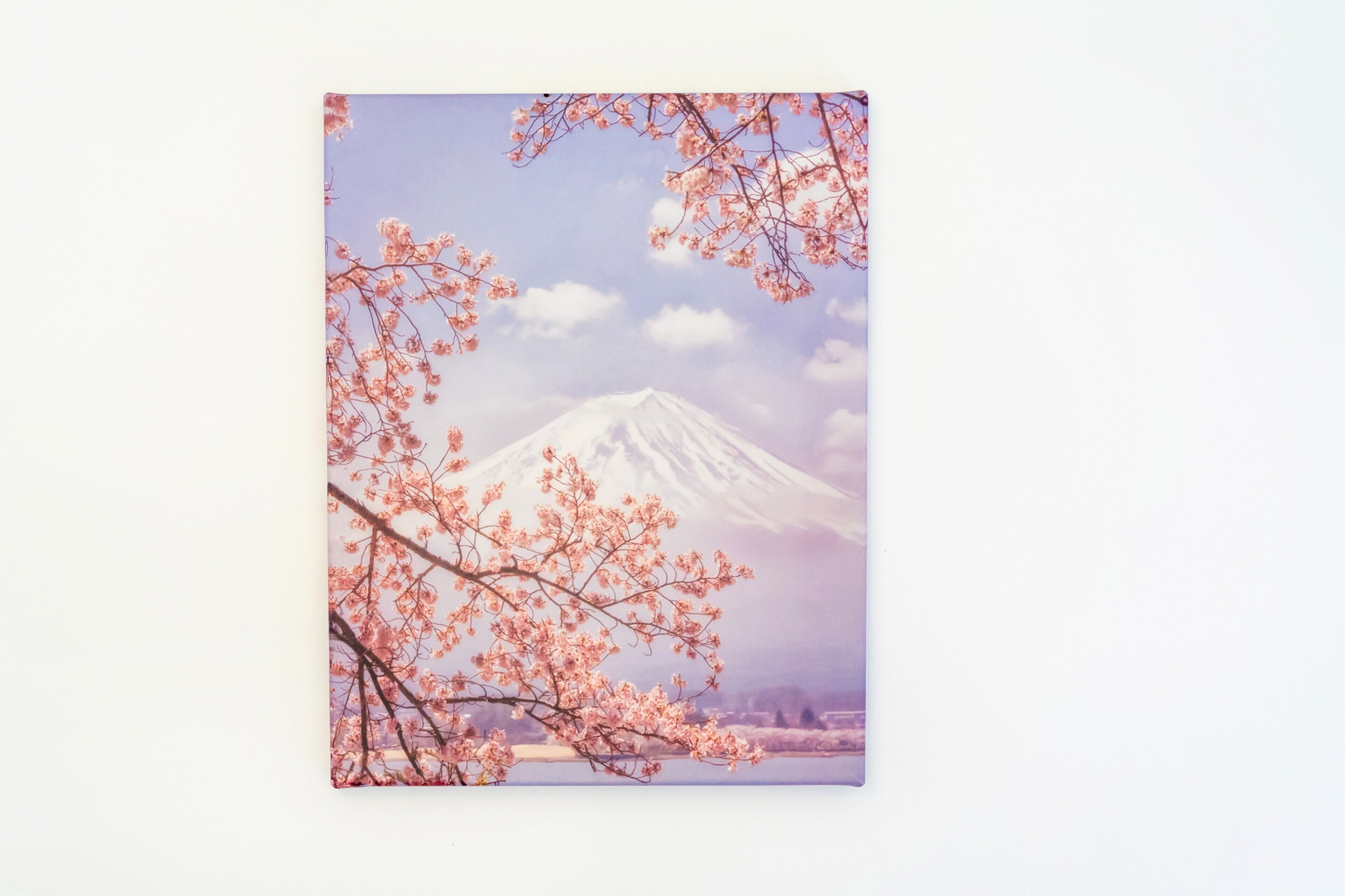 A mountain with cherry blossoms in the foreground.