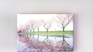 A landscape with trees and a reflective water surface. - Cosy Studio with Balcony, Air Conditioning & Pool Table – Cazaubon (Cazaubon)