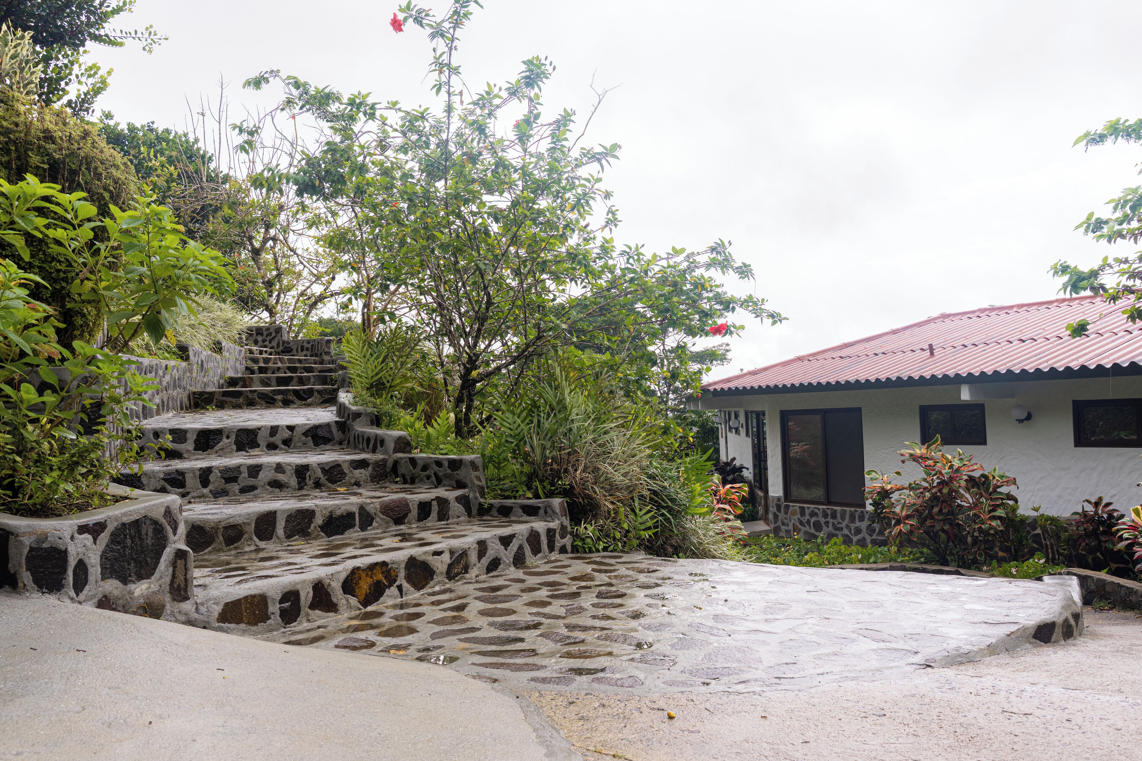 A stone staircase leading to a house with a red roof, surrounded by greenery.