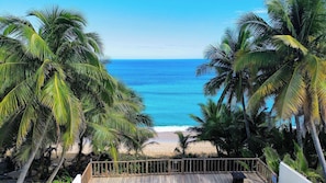 Blick auf einen Strand mit Palmen und einer Holzterrasse.