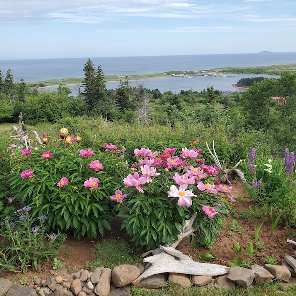 A garden with peonies and other flowers, a rocky border, and a view of a lake and distant land.