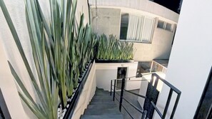 Exterior - Mi Otra Casa Coyoacán  (Mexico City)