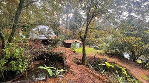 A rustic cabin with a thatched roof, surrounded by dense forest and a small stream.