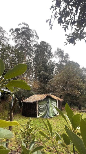 Property grounds - Selfmade Yurt - Naturviana (Viana do Castelo)