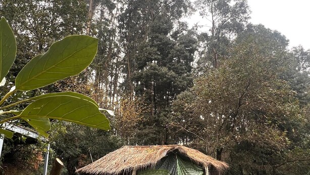 Una cabaña rústica con techo de paja, rodeada de un bosque denso.