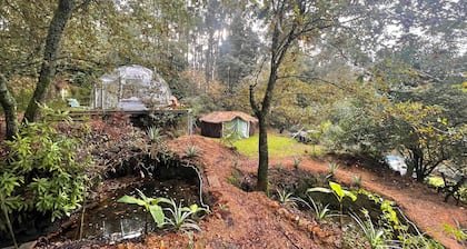 Selfmade Yurt - Naturviana