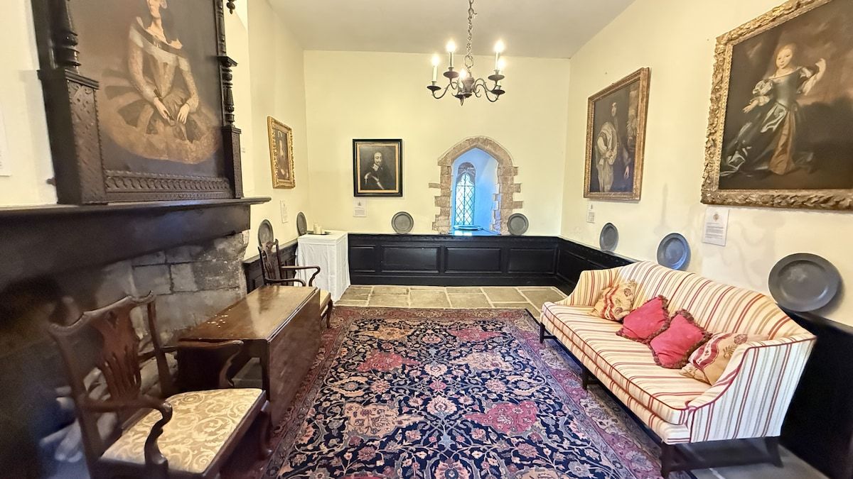 Une pièce avec une cheminée, un canapé, un tapis à motifs et des œuvres d’art encadrées accrochées aux murs.
