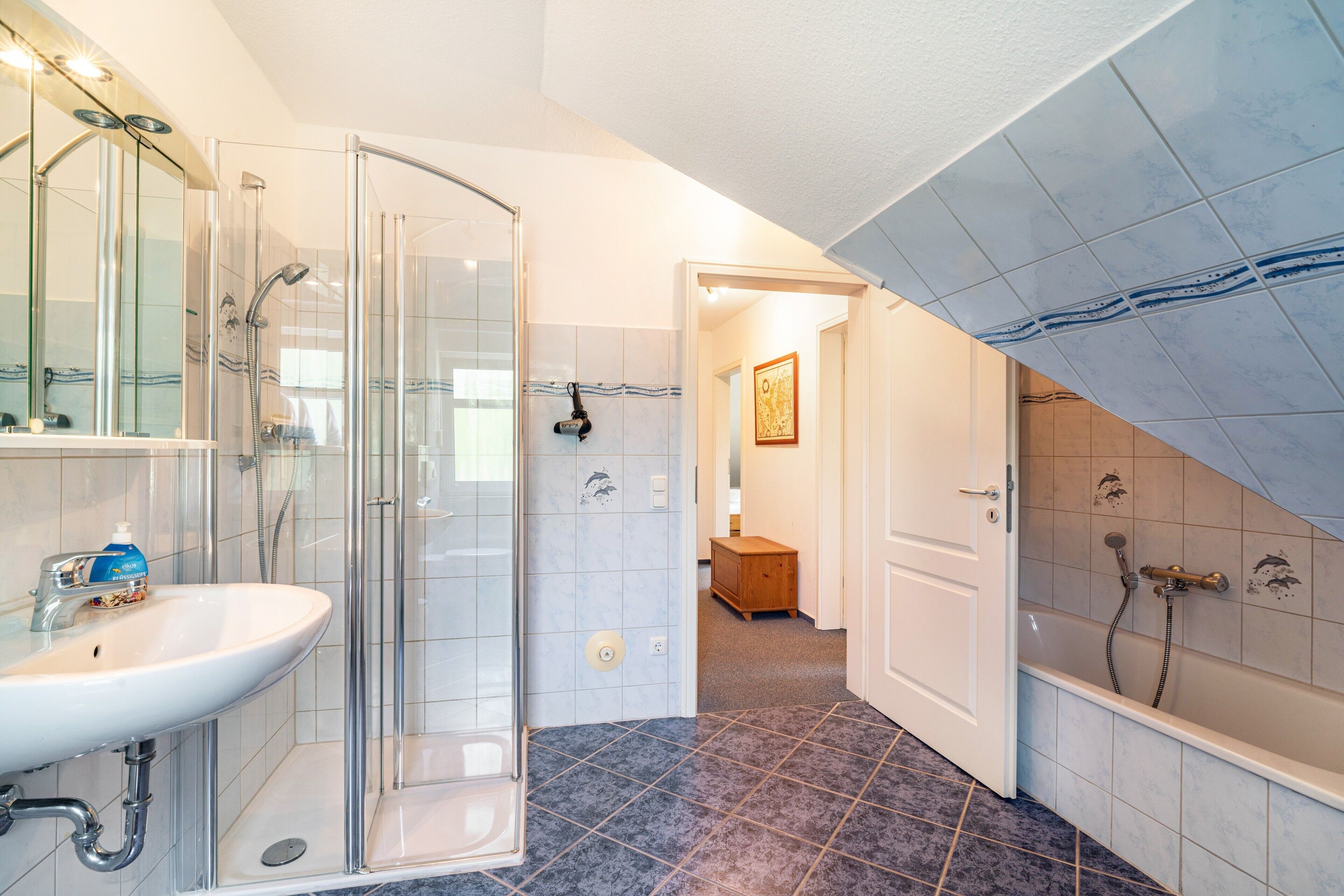 Shower, hair dryer