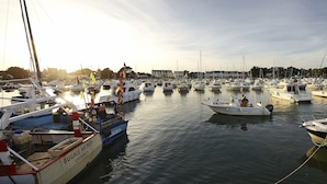 A marina with multiple boats docked, featuring a variety of boat types and sizes. - 900m beach, house 4 adults / 2 kids (Sarzeau)
