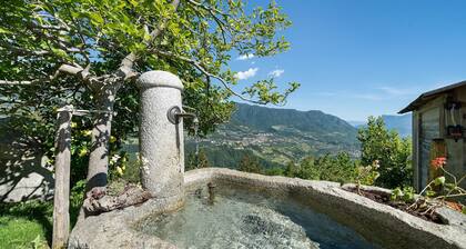 Apartment „Haus Bergwies“ mit Bergblick, Gemeinschaftspool und WLAN