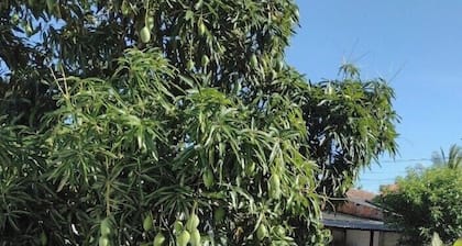 Cozy house between the river and the sea. Close to the beaches