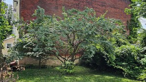 Un edificio de ladrillo con jardín césped y árboles.