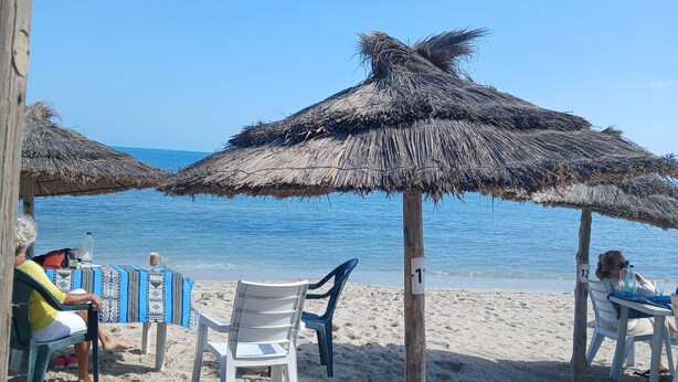 Une plage avec des parasols en chaume, des chaises et un poteau en bois portant un numéro.