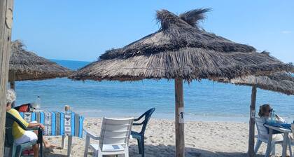 Dar Cally - Artist's House with Pool in Djerba