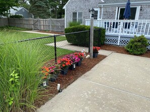 A residential garden with a pathway, a fence, and a house with a porch. - Spacious 4 bedroom with inground pool and walk to beach!! (Dennis)