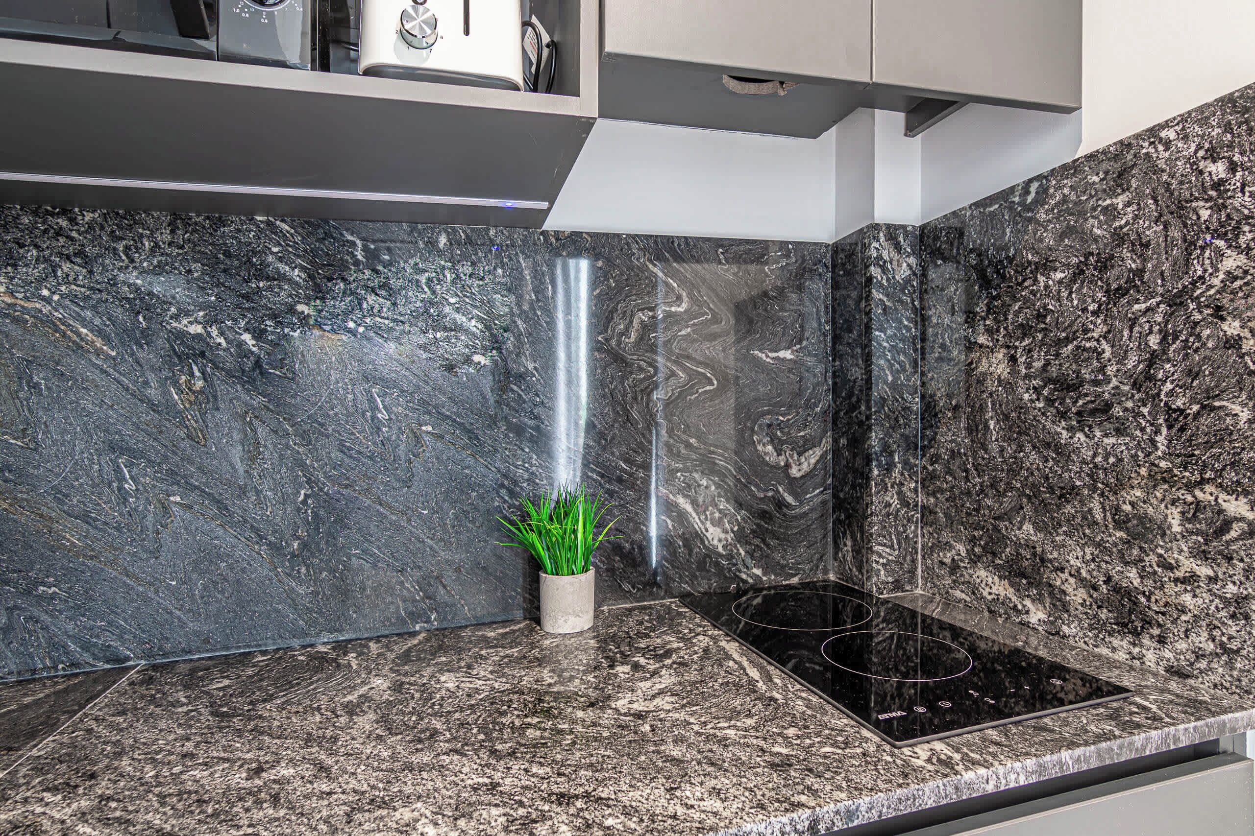 A kitchen with a granite countertop, a built-in stove, and a potted plant.