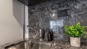 Una cocina moderna con encimera de granito, pileta de acero inoxidable y una planta en maceta.