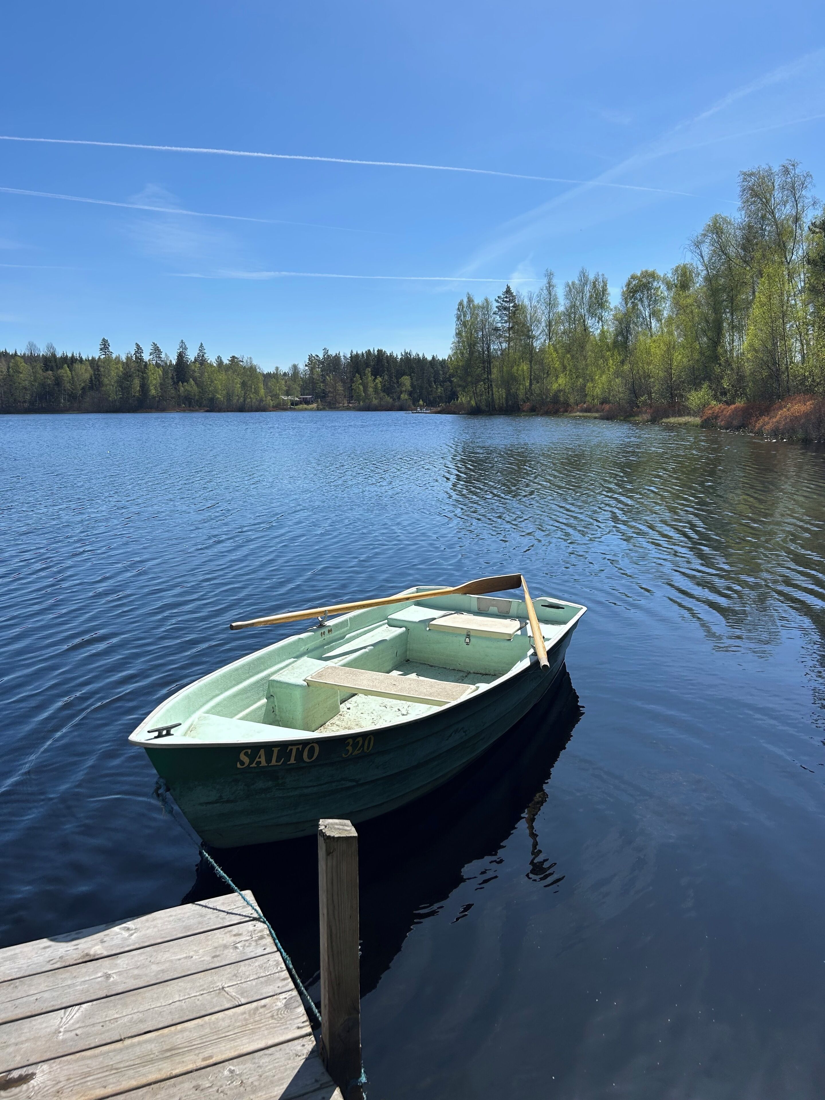 A small green boat named SALTO 320 docked at a wooden pier.