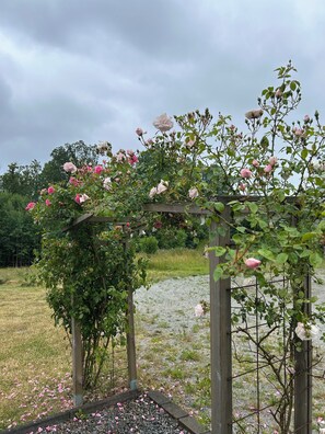 Property grounds - Large farmhouse near lake & forest • Boat included (Svängsta)
