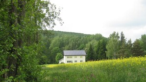 A house with a solar panel roof, surrounded by dense greenery and a field of yellow flowers. - Ferienwohnung fur Neun Personen in Homberg (Homberg)