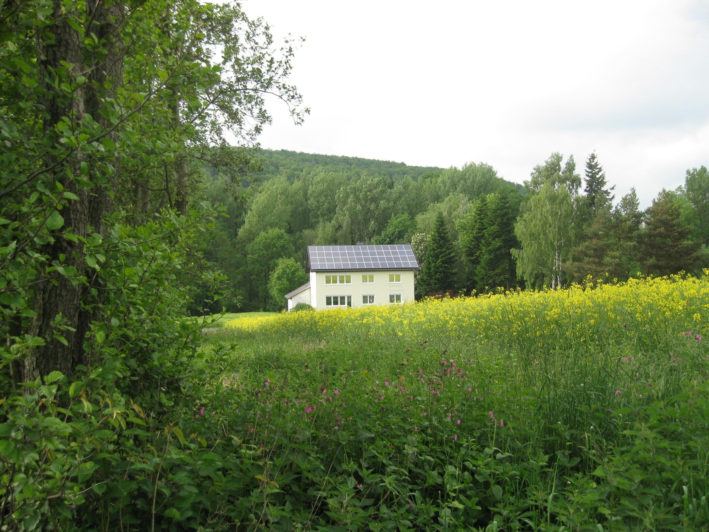 A house with a solar panel roof, surrounded by dense greenery and a field of yellow flowers.