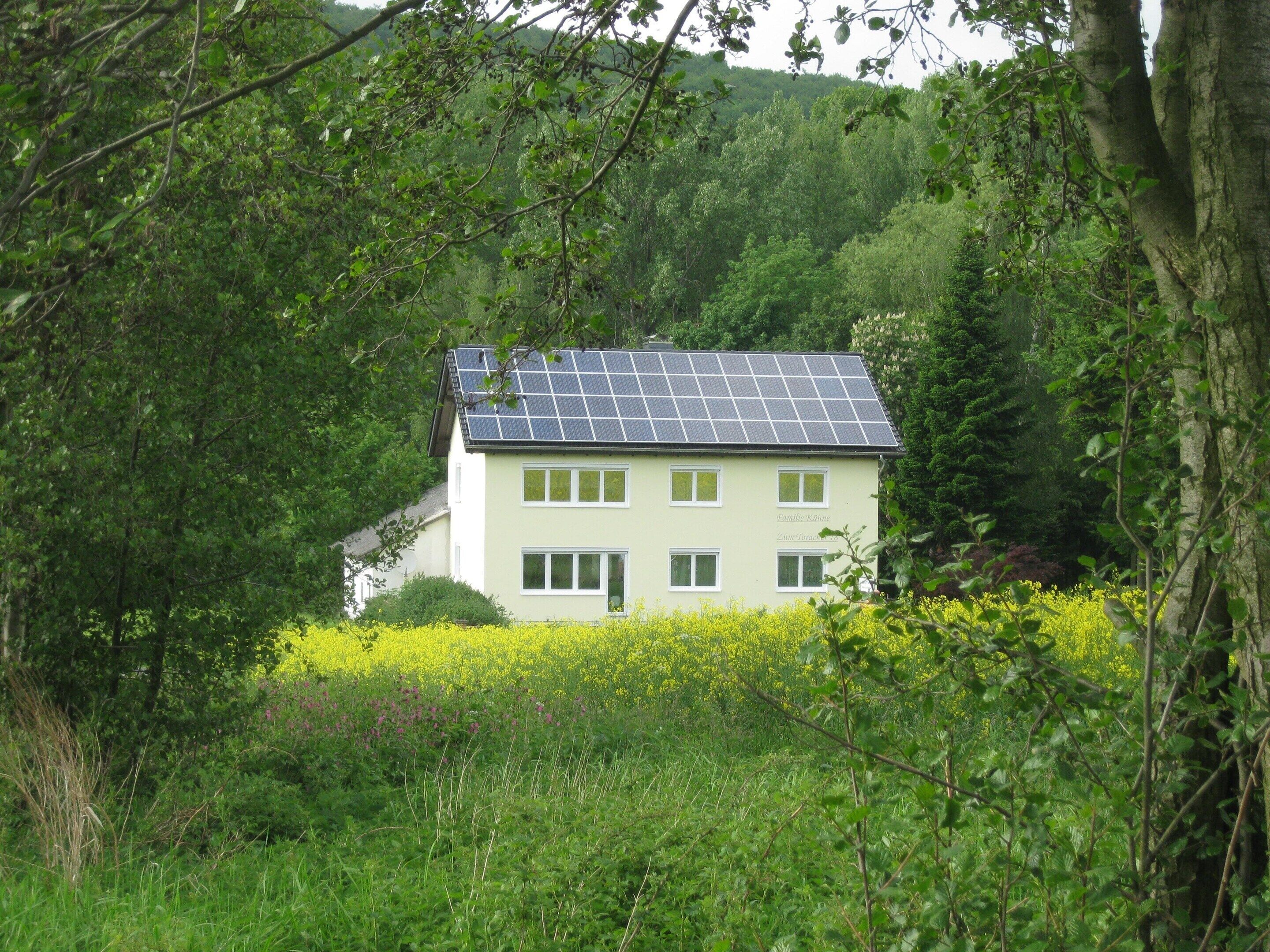 A house with a solar panel roof surrounded by dense greenery and yellow flowers.