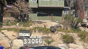 A two-story house with a green exterior, a driveway, and a car parked in front. - 3-bedroom cabin in amazing Running Springs with cozy vibes (Running Springs)