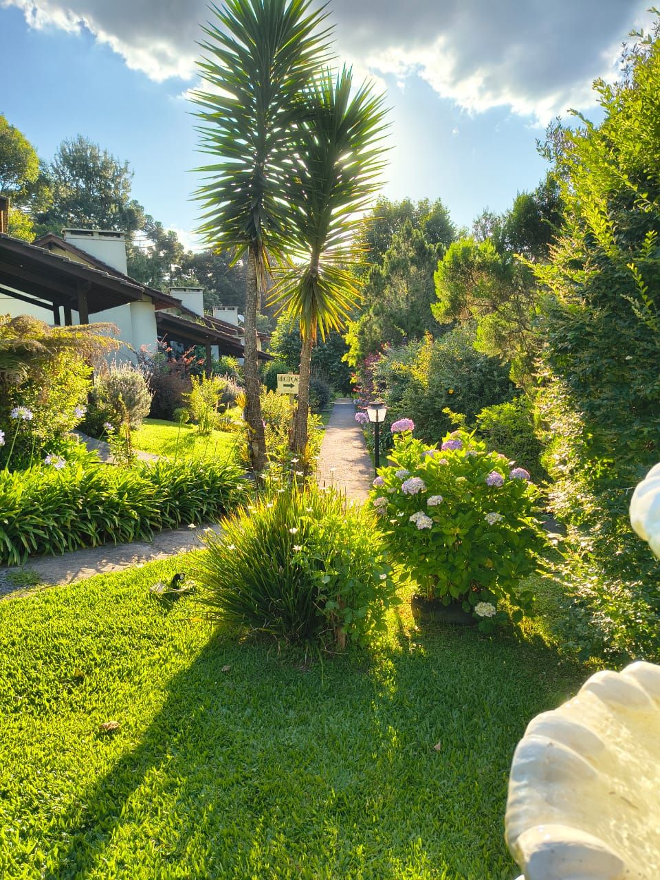 A garden with a pathway, palm trees, and various plants.