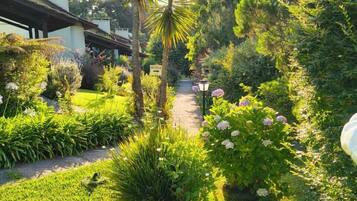 A garden with a pathway, palm trees, and various plants.