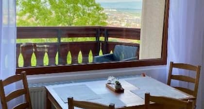Vila Bellestay– Spacious Comfort with Garden & City Views in the Heart of Brașov