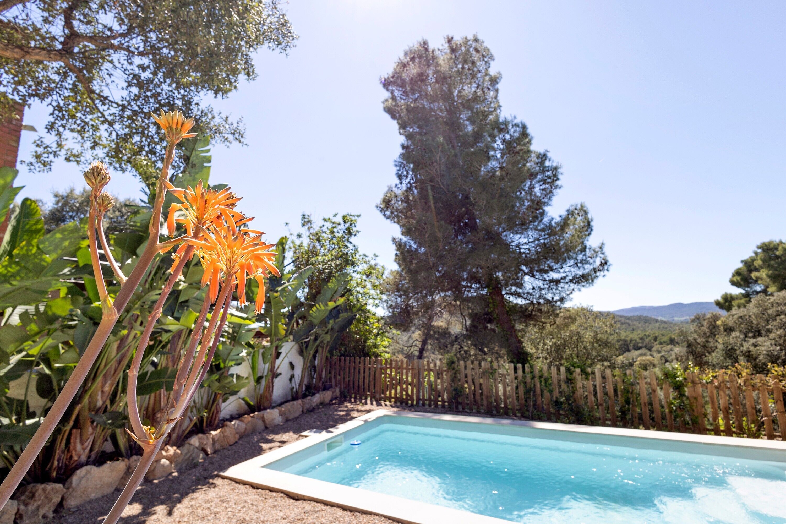 Una piscina rectangular rodeada por una valla de madera, con un árbol grande y diversas plantas al fondo.