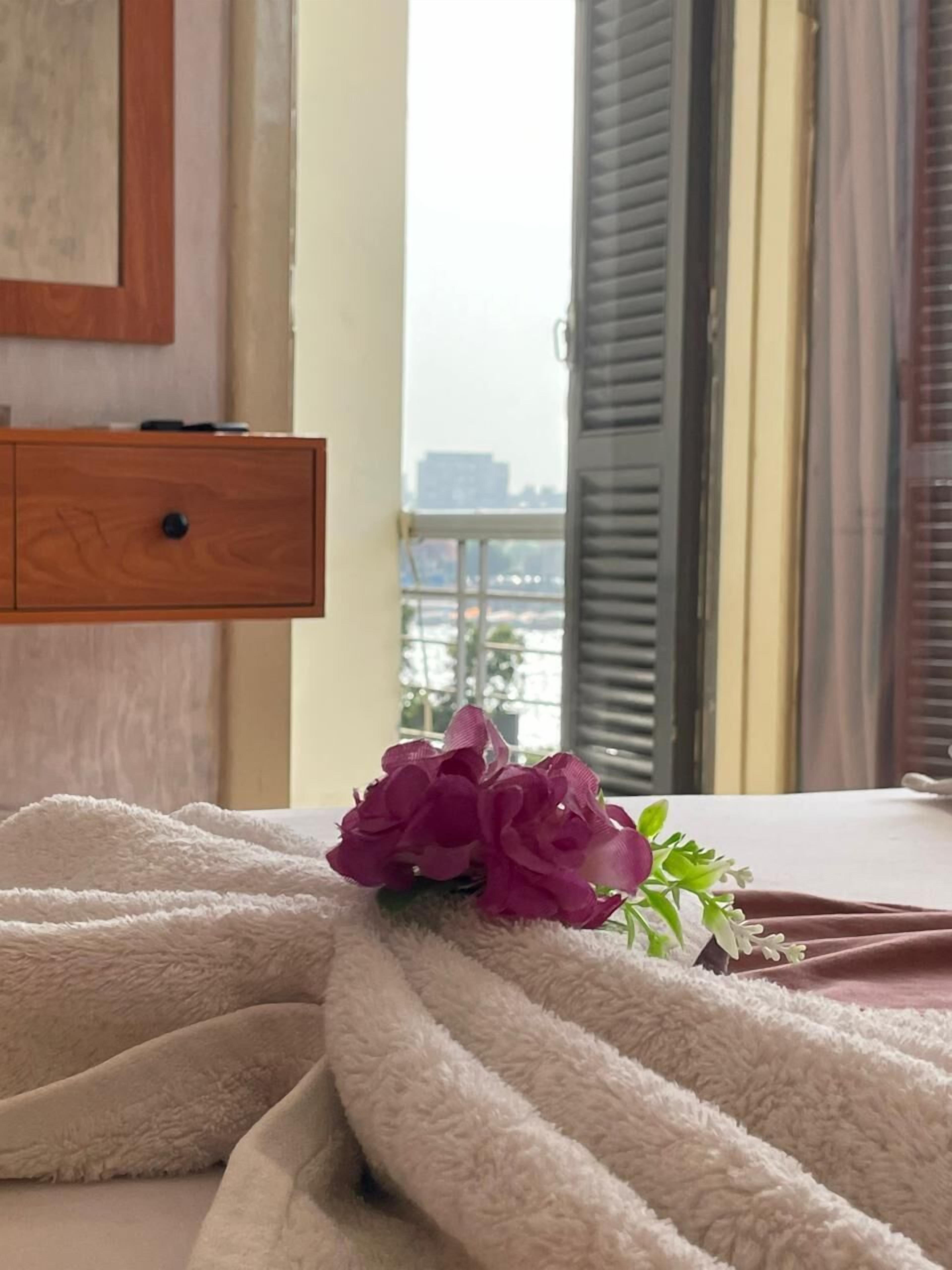 Egyptian cotton sheets, premium bedding, Select Comfort beds, free WiFi