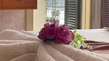 Egyptian cotton sheets, premium bedding, Select Comfort beds, free WiFi