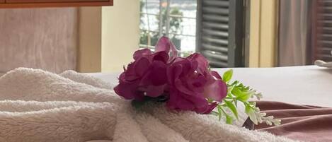 Egyptian cotton sheets, premium bedding, Select Comfort beds, free WiFi