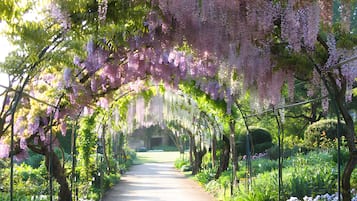 Parco della struttura