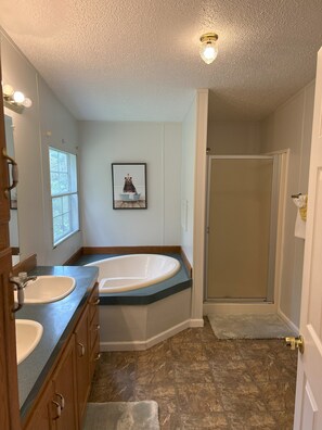Bathroom - Spacious, Sunlit, 3 Bedroom, 2 Bath Home in East Asheville (Asheville)