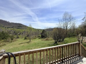 Property grounds - Spacious, Sunlit, 3 Bedroom, 2 Bath Home in East Asheville (Asheville)