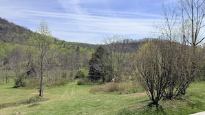 A grassy field with trees and a clear sky. - Spacious, Sunlit, 3 Bedroom, 2 Bath Home in East Asheville (Asheville)