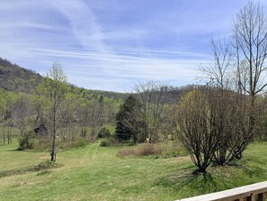 Property grounds - Spacious, Sunlit, 3 Bedroom, 2 Bath Home in East Asheville (Asheville)