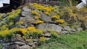 Un edificio rústico de madera con una escalera de piedra y flores amarillas.