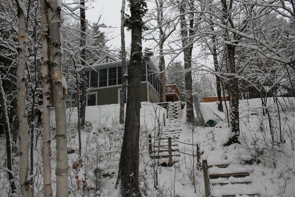 Une forêt enneigée avec une maison et une terrasse en bois.