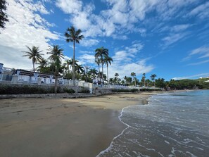 Une plage bordée de palmiers, un mur de pierre et des bâtiments blancs dotés de balcons.