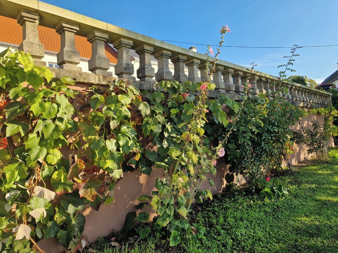Barandilla de piedra con follaje y flores.