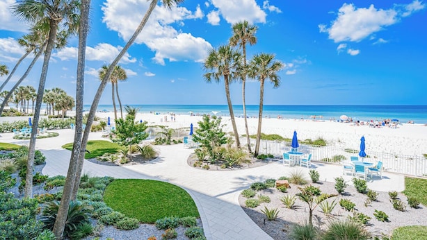 Un resort en la playa con palmeras, un camino y sillas de playa.